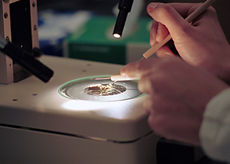Biology class at Trinity College